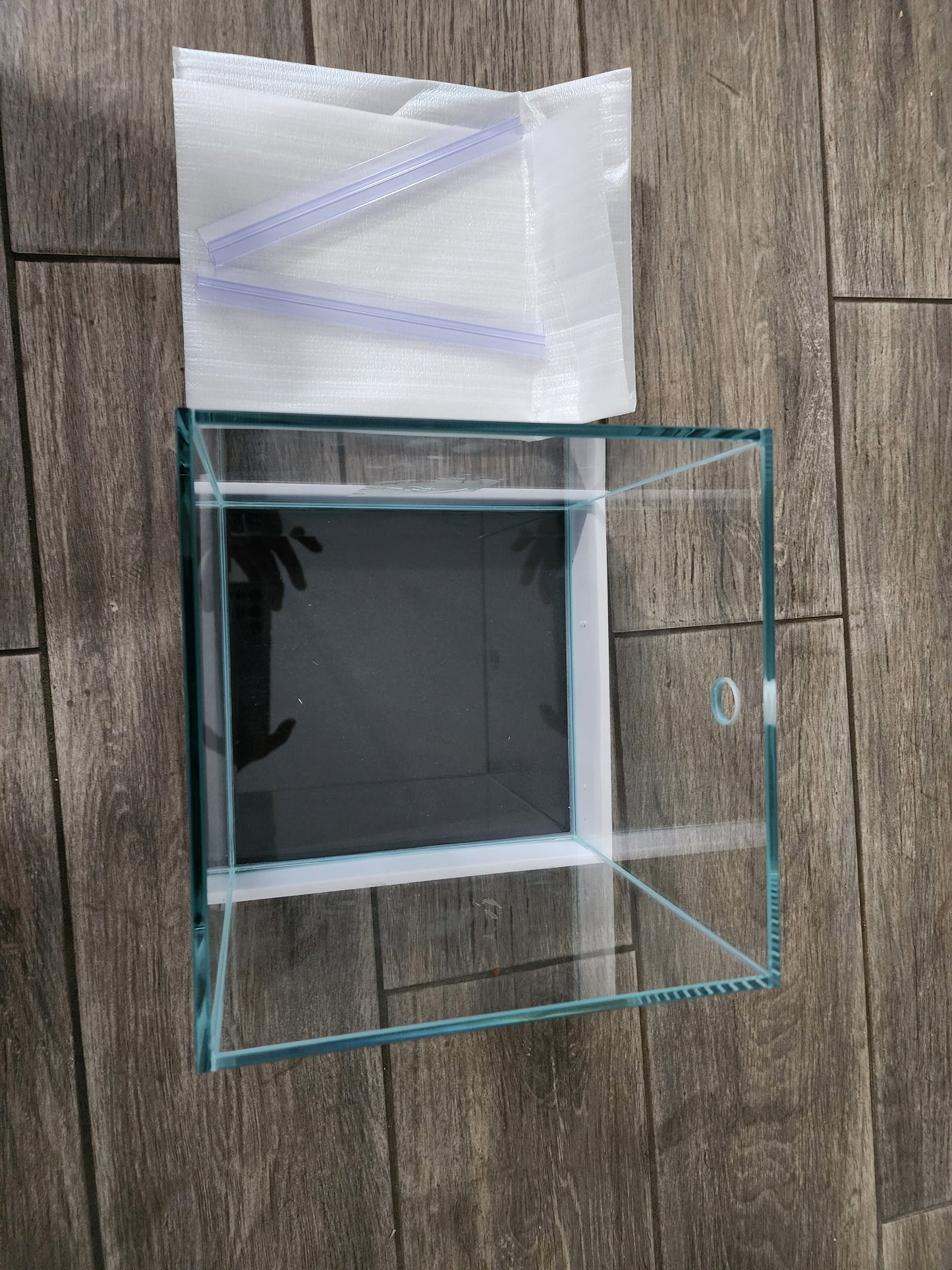 Custom Rimless Betta Tanks
