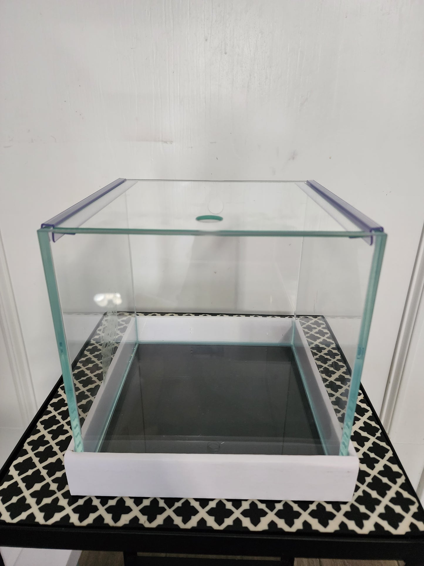 Custom Rimless Betta Tanks