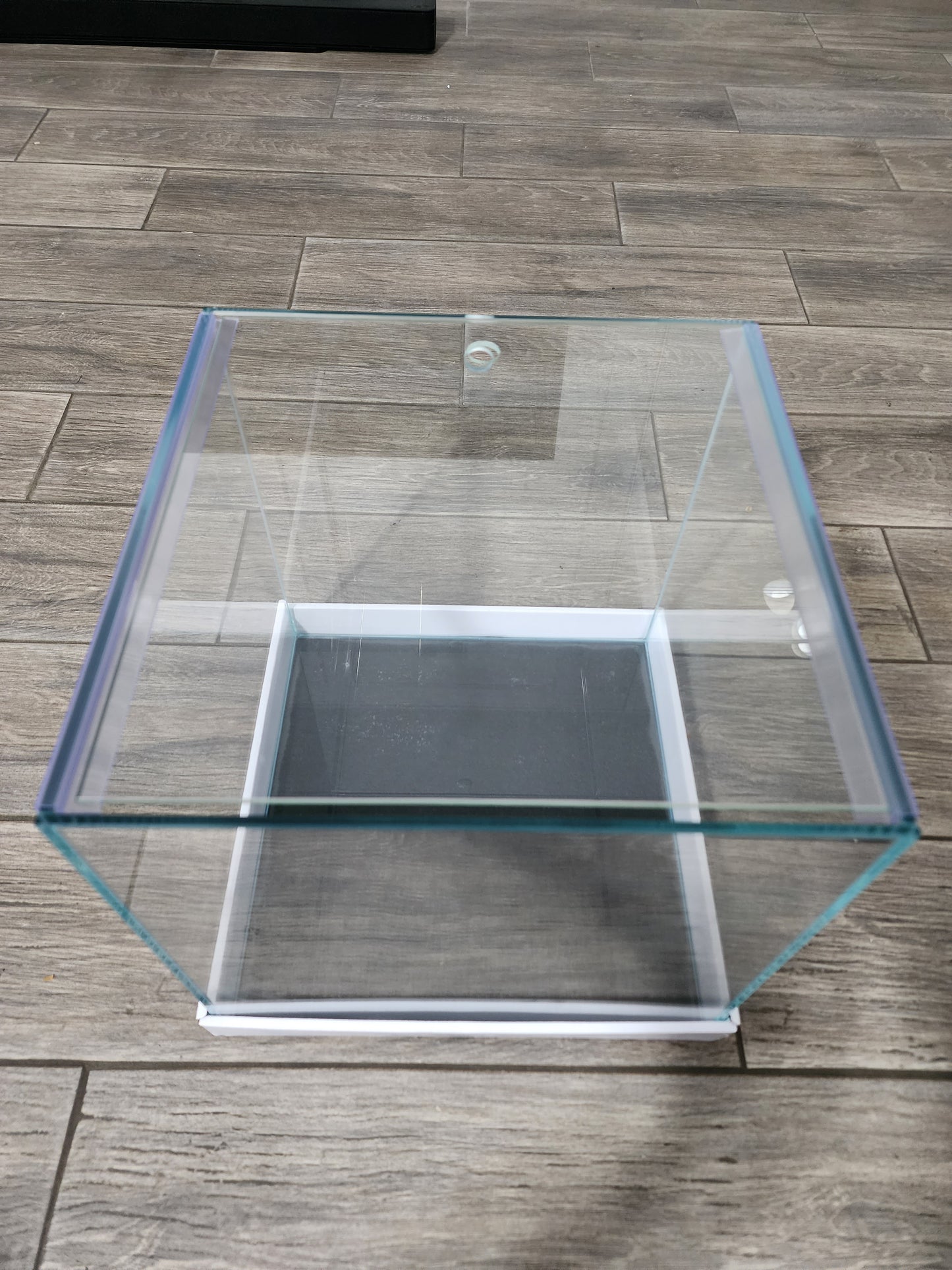 Custom Rimless Betta Tanks