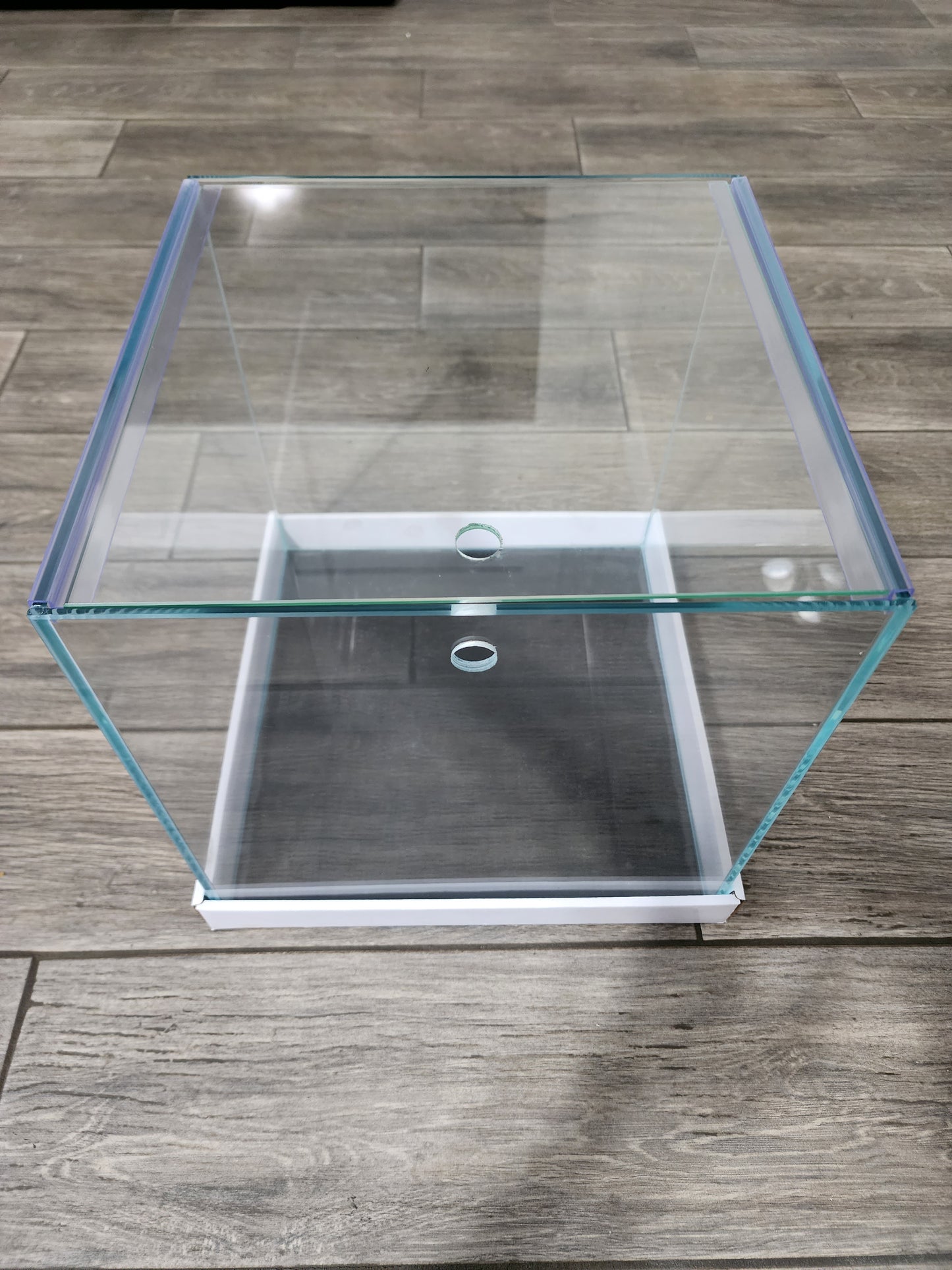 Custom Rimless Betta Tanks