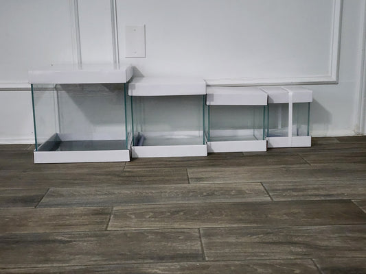 Custom Rimless Betta Tanks