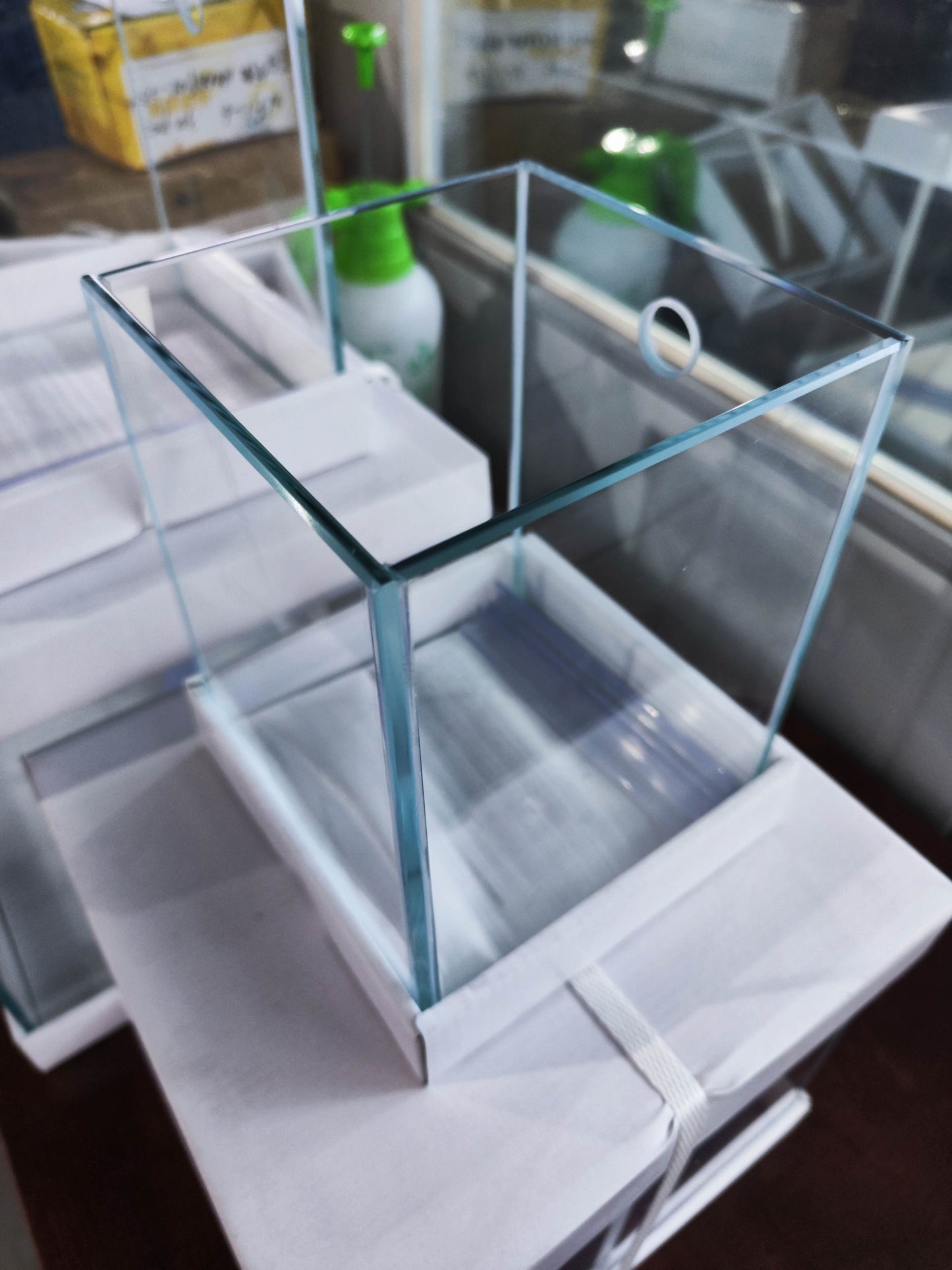 Custom Rimless Betta Tanks
