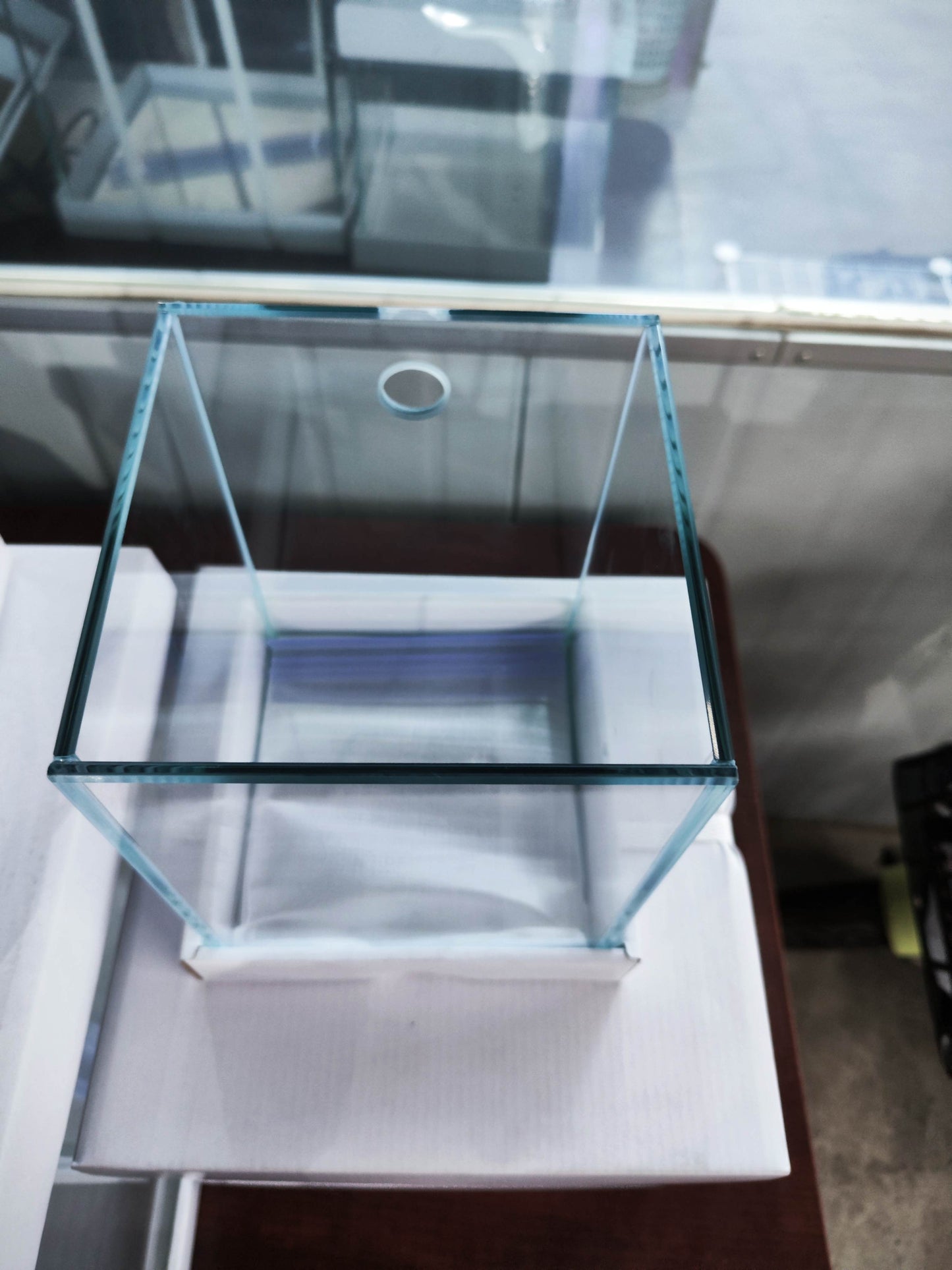 Custom Rimless Betta Tanks