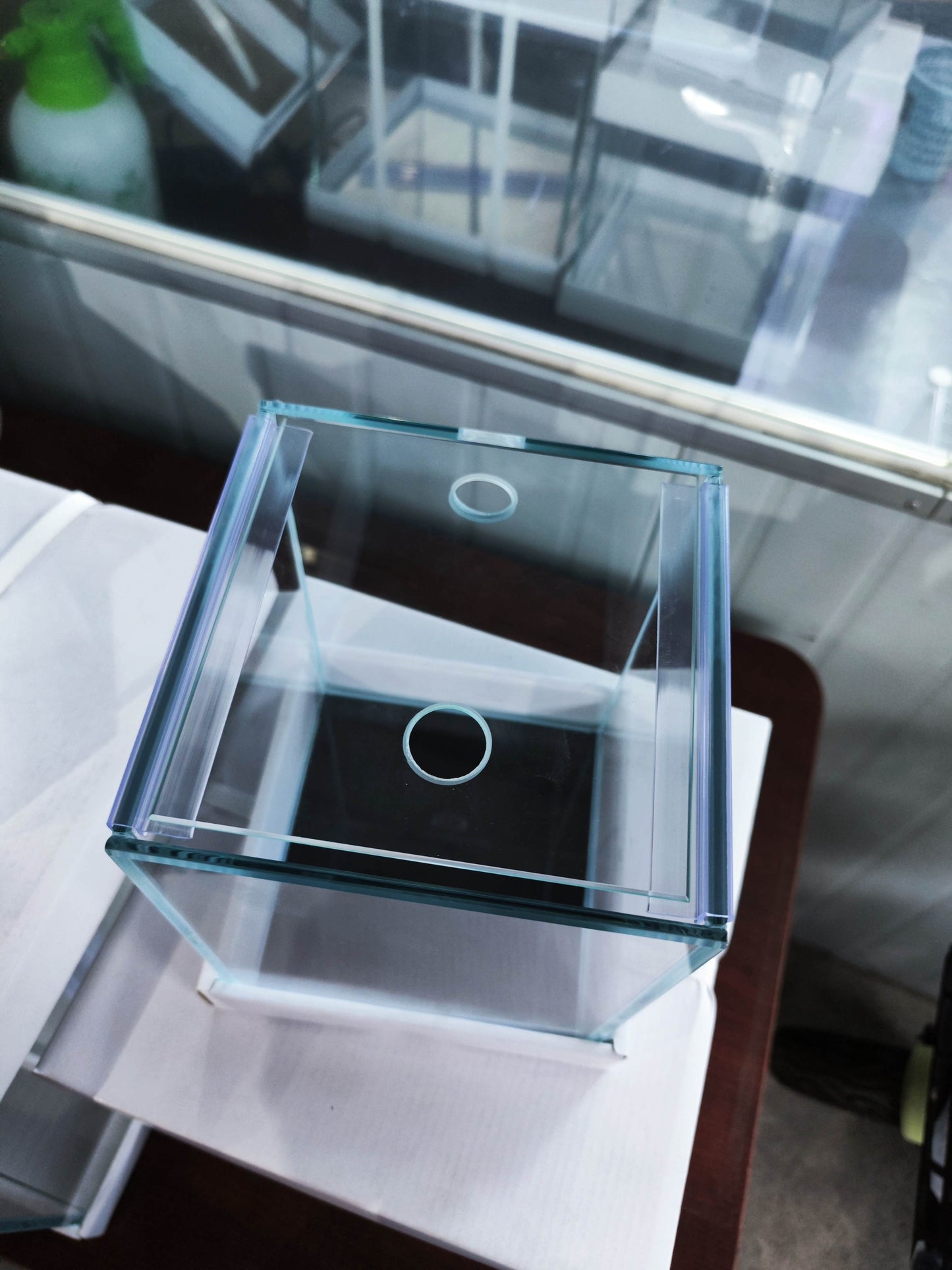 Custom Rimless Betta Tanks