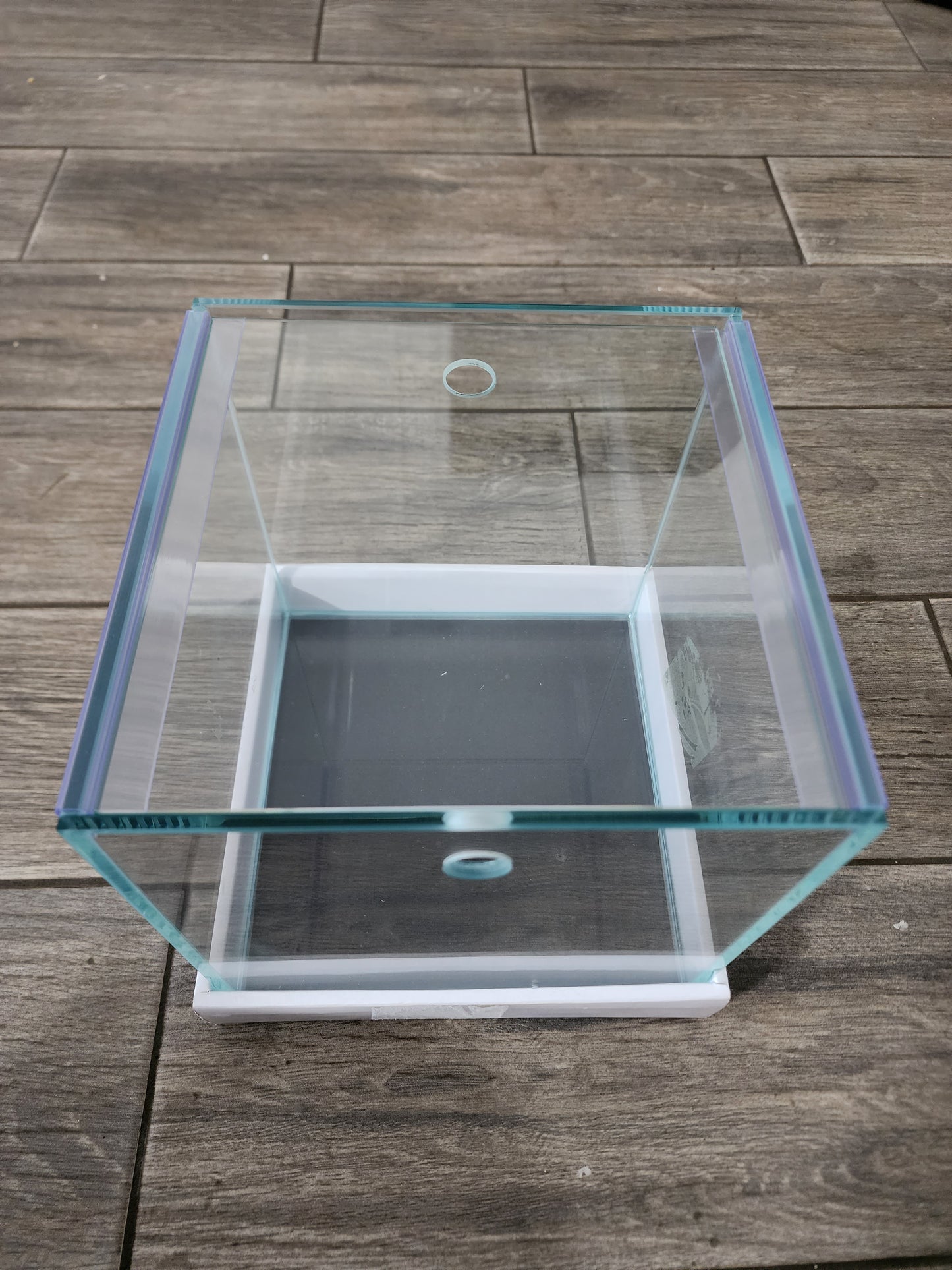 Custom Rimless Betta Tanks