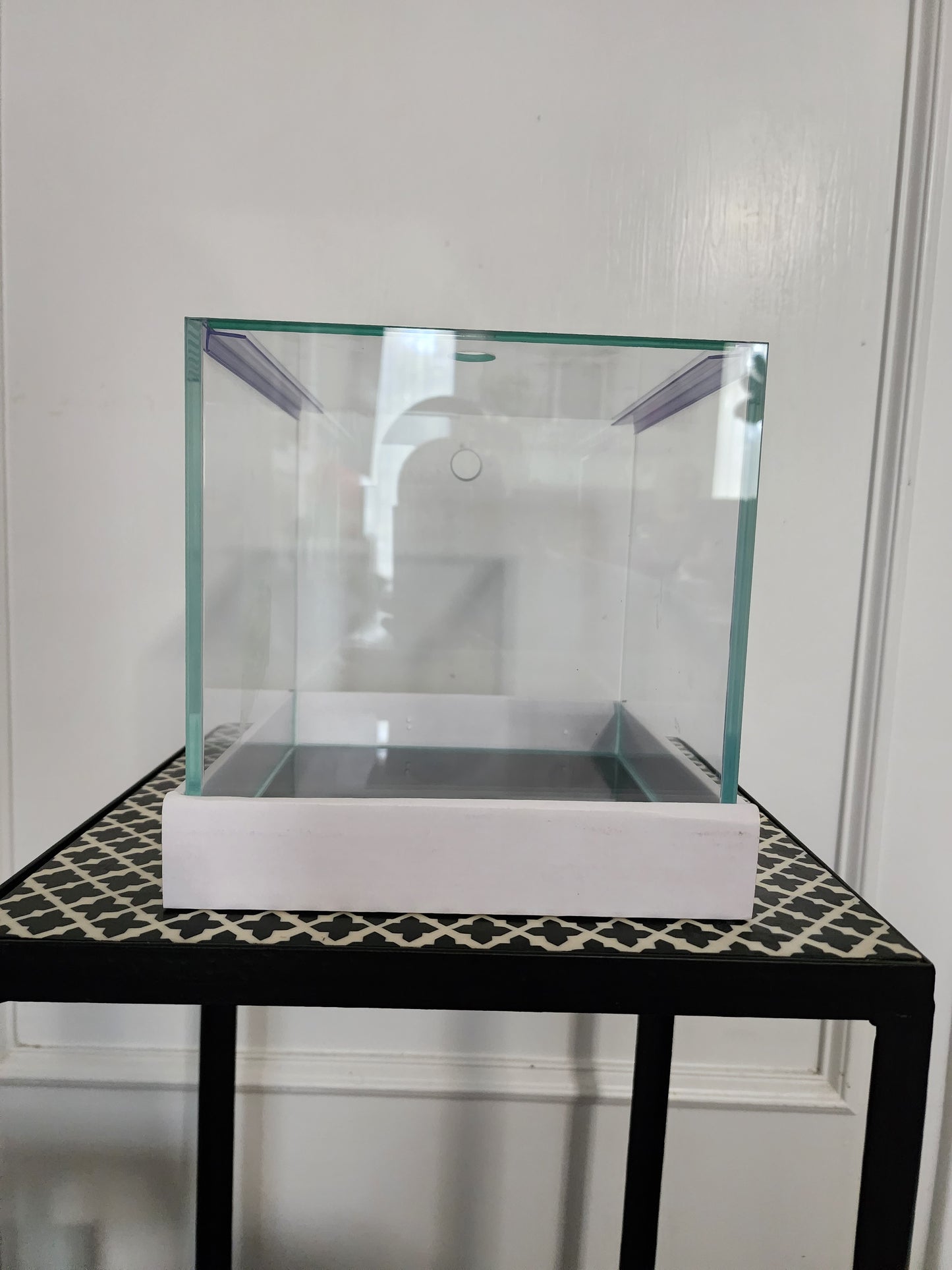 Custom Rimless Betta Tanks