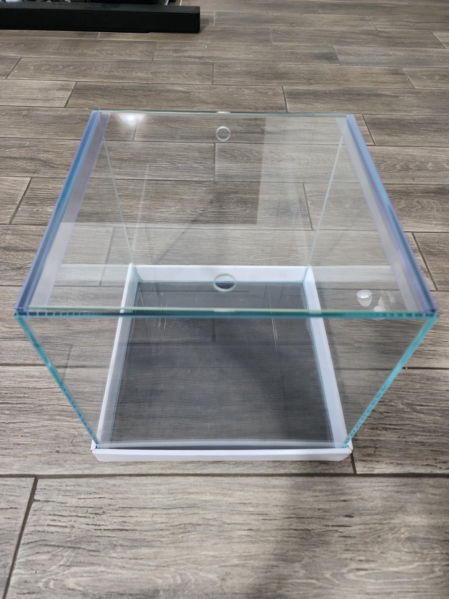 Custom Rimless Betta Tanks