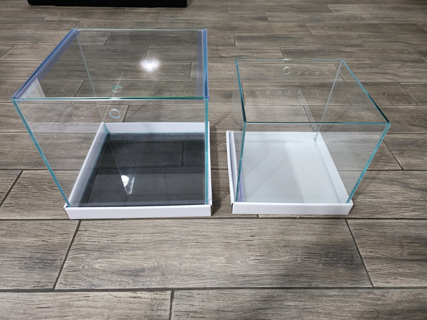 Custom Rimless Betta Tanks