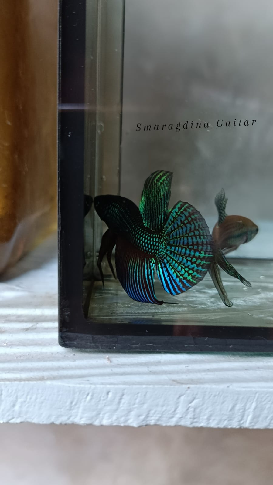 Smaragdina