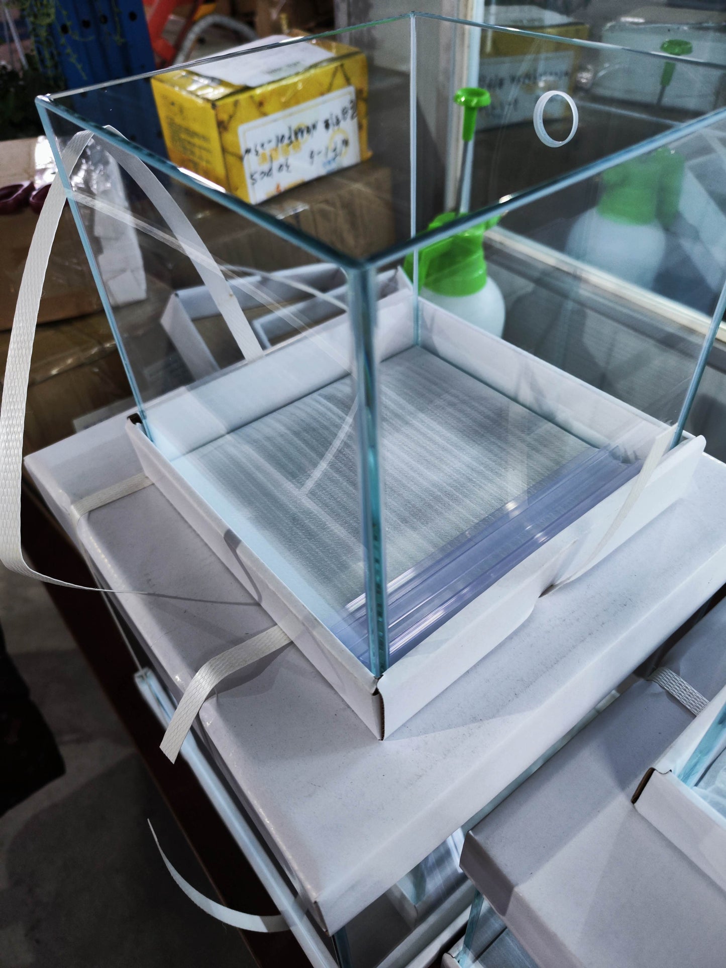 Custom Rimless Betta Tanks